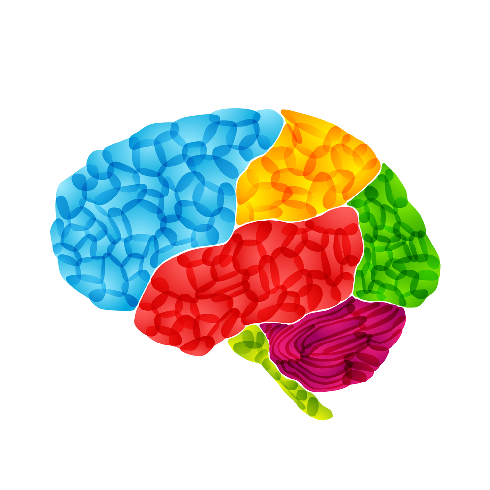Alzheimers May Vary, Brain to Brain recommend Alzheimers May Vary, Brain to Brain forecasting