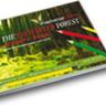 The Enchanted Forest Activity Book