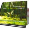 The Enchanted Forest Audio CD